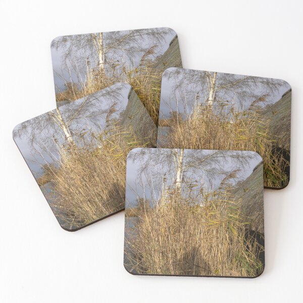 Item preview, Golden reeds and boat shed on the River Ant, Norfolk Broads designed and sold by yackers1.