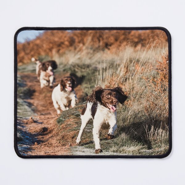 Item preview, Three Spaniels in a Row designed and sold by may whiston.