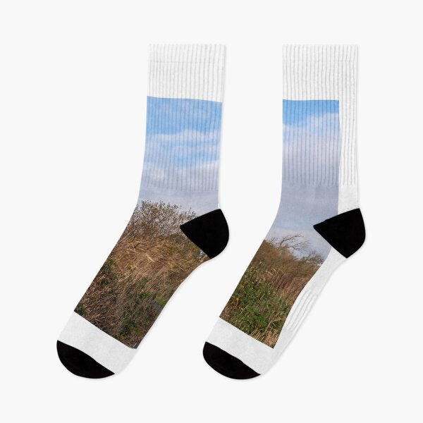 Item preview, Old, disused and abandoned drainage mill on the riverbank designed and sold by yackers1.