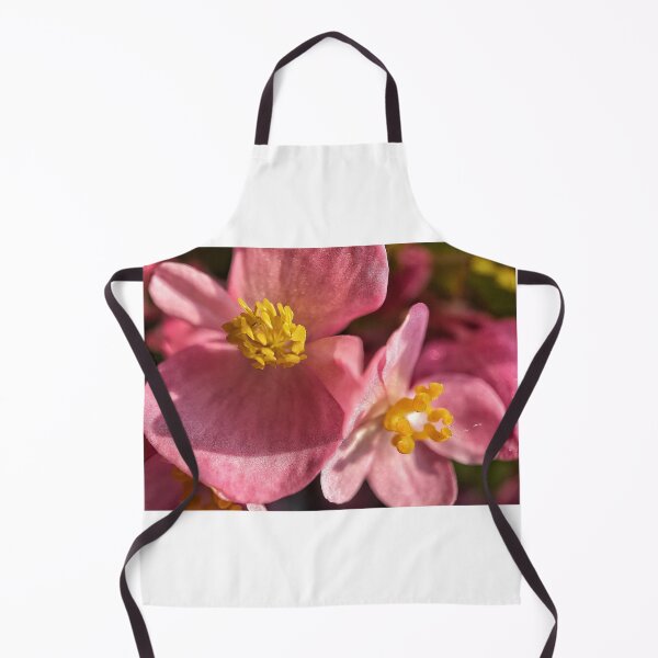 Item preview, Begonia designed and sold by Jason Tompkins.