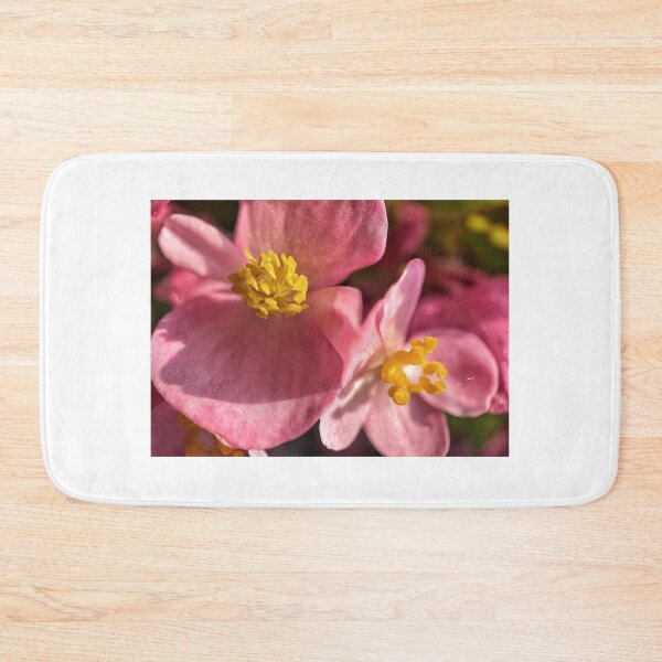 Item preview, Begonia designed and sold by Jason Tompkins.