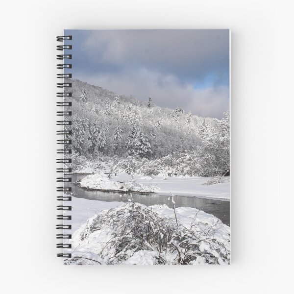 Item preview, winter landscape designed and sold by Denis Charbonnier.