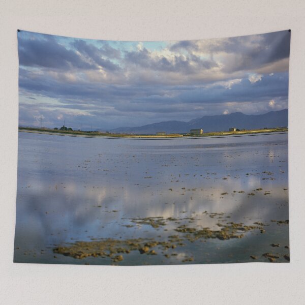 Item preview, Parc Natural de l'Albufera de València, Spain 2022 designed and sold by Michel Meijer.