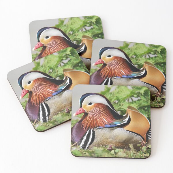Item preview, Mandarin Duck  designed and sold by LJarts.