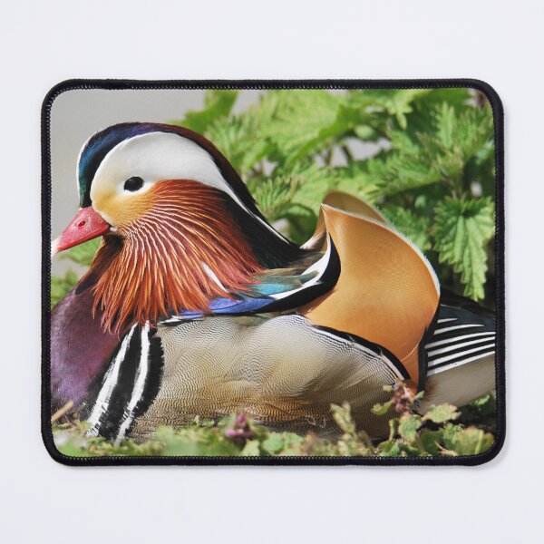 Item preview, Mandarin Duck  designed and sold by LJarts.