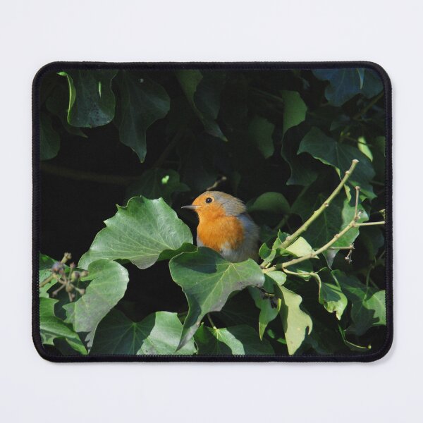 Item preview, Robin Red Breast  designed and sold by LJarts.