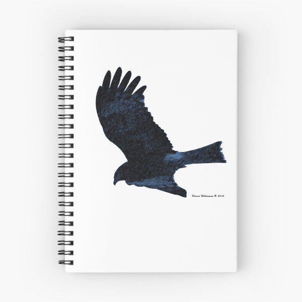 Item preview, Soaring designed and sold by Stingray.