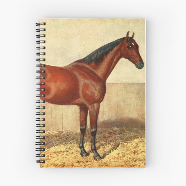 Item preview, Vintage Stabled Horse Illustration (1905) designed and sold by BravuraMedia.