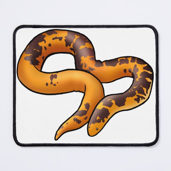 Item preview, Kenyan Sand Boa designed and sold by Seren14.