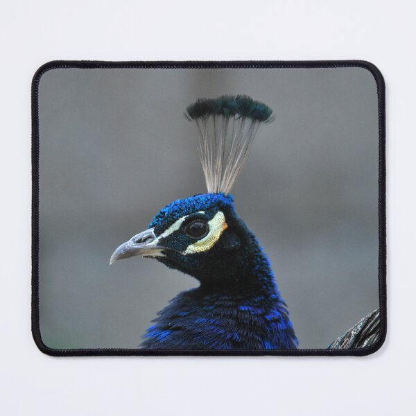 Item preview, Peacock designed and sold by LJarts.