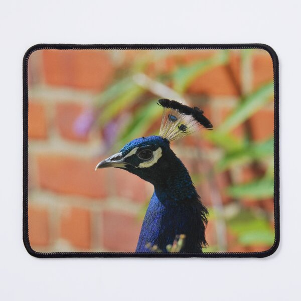 Item preview, Peacock designed and sold by LJarts.