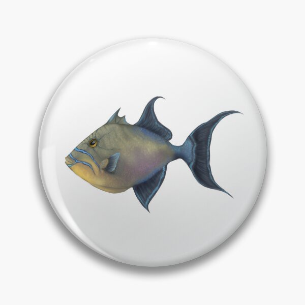 Item preview, Queen Triggerfish designed and sold by Modsecai.