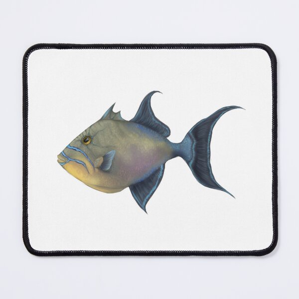 Item preview, Queen Triggerfish designed and sold by Modsecai.