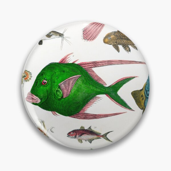 Item preview, Collection of various fishes  Marine Life from Kanto Region designed and sold by TeeARTHY.