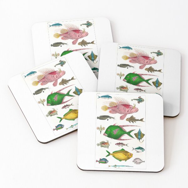 Item preview, Collection of various fishes  Marine Life from Kanto Region designed and sold by TeeARTHY.