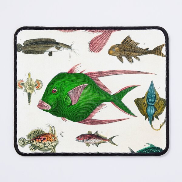 Item preview, Collection of various fishes  Marine Life from Kanto Region designed and sold by TeeARTHY.