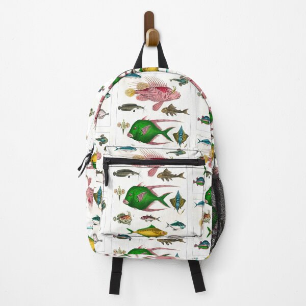 Item preview, Collection of various fishes Marine Life from Kanto Region designed and sold by TeeARTHY.