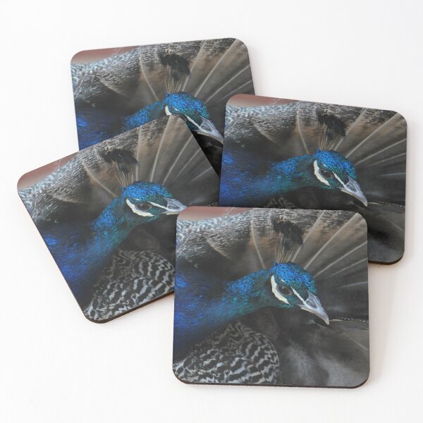 Item preview, Preening Peacock  designed and sold by LJarts.