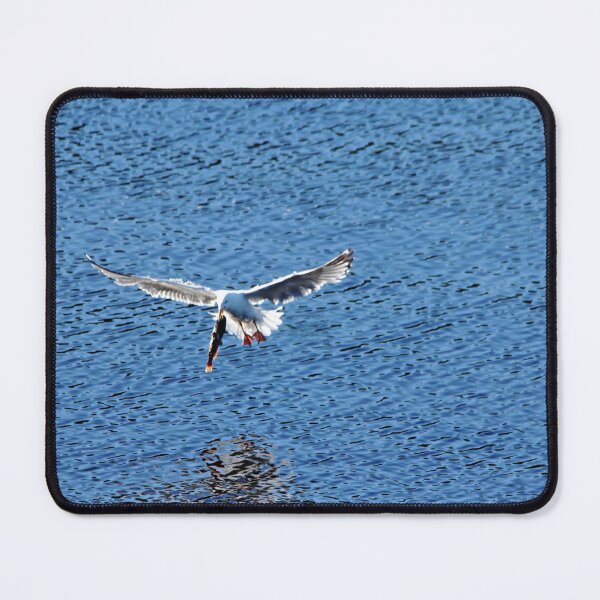 Item preview, Fish For Breakfast designed and sold by Debbie Oppermann.