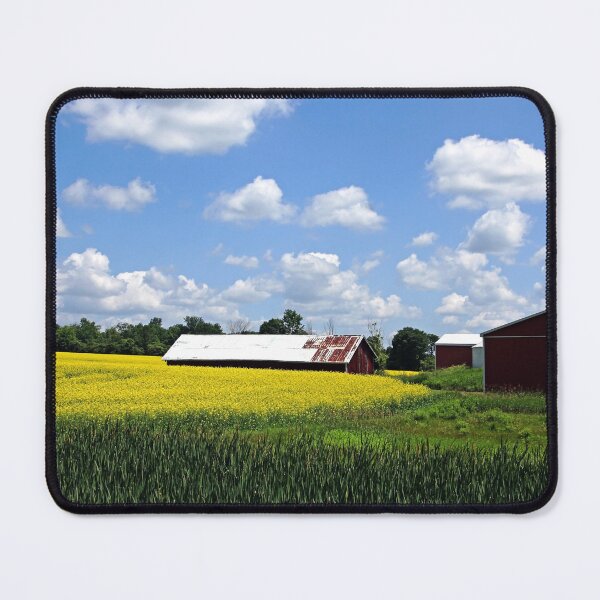 Item preview, Canola Farm designed and sold by Debbie Oppermann.