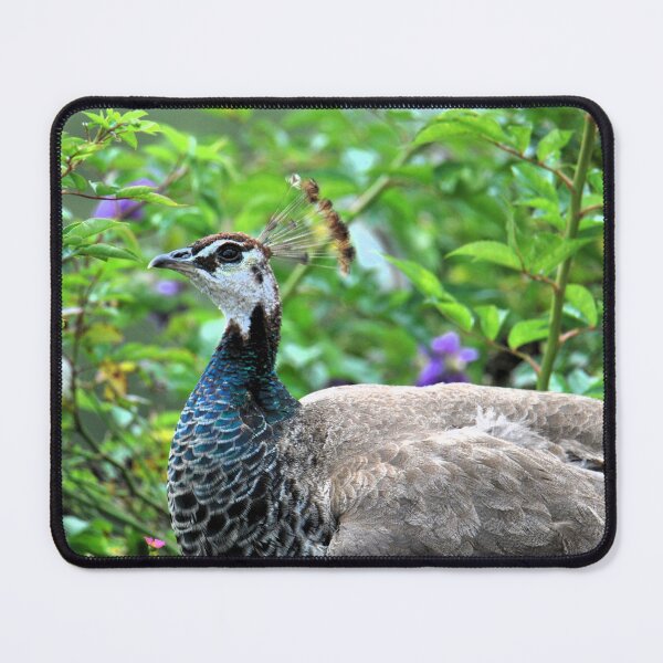 Item preview, Peahen designed and sold by LJarts.