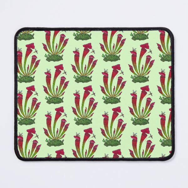 Item preview, North American Pitcher Plant (Sarracenia leucophylla) designed and sold by Auden Heitzler.