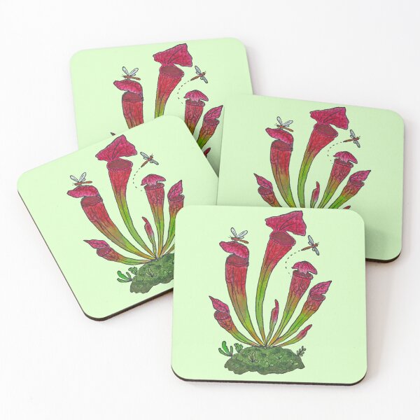 Item preview, North American Pitcher Plant (Sarracenia leucophylla) designed and sold by Auden Heitzler.