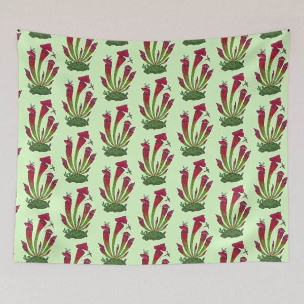 Item preview, North American Pitcher Plant (Sarracenia leucophylla) designed and sold by Auden Heitzler.