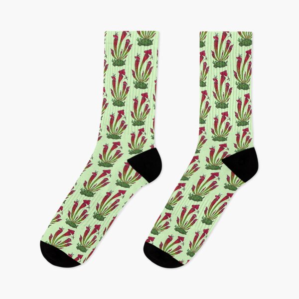 Item preview, North American Pitcher Plant (Sarracenia leucophylla) designed and sold by Auden Heitzler.