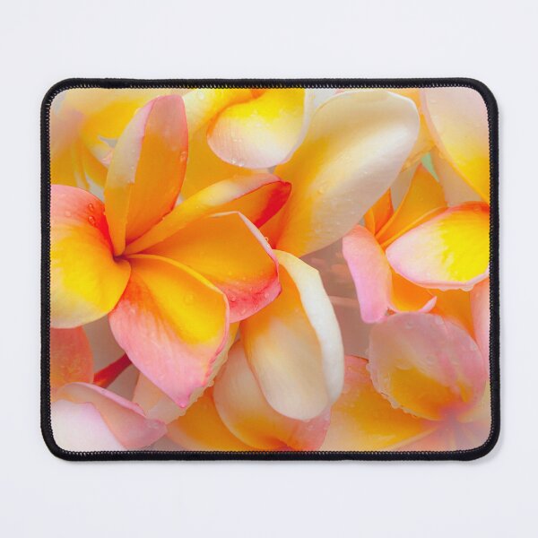 Item preview, Soft Tri Colour Frangipanis designed and sold by ppddesigns.