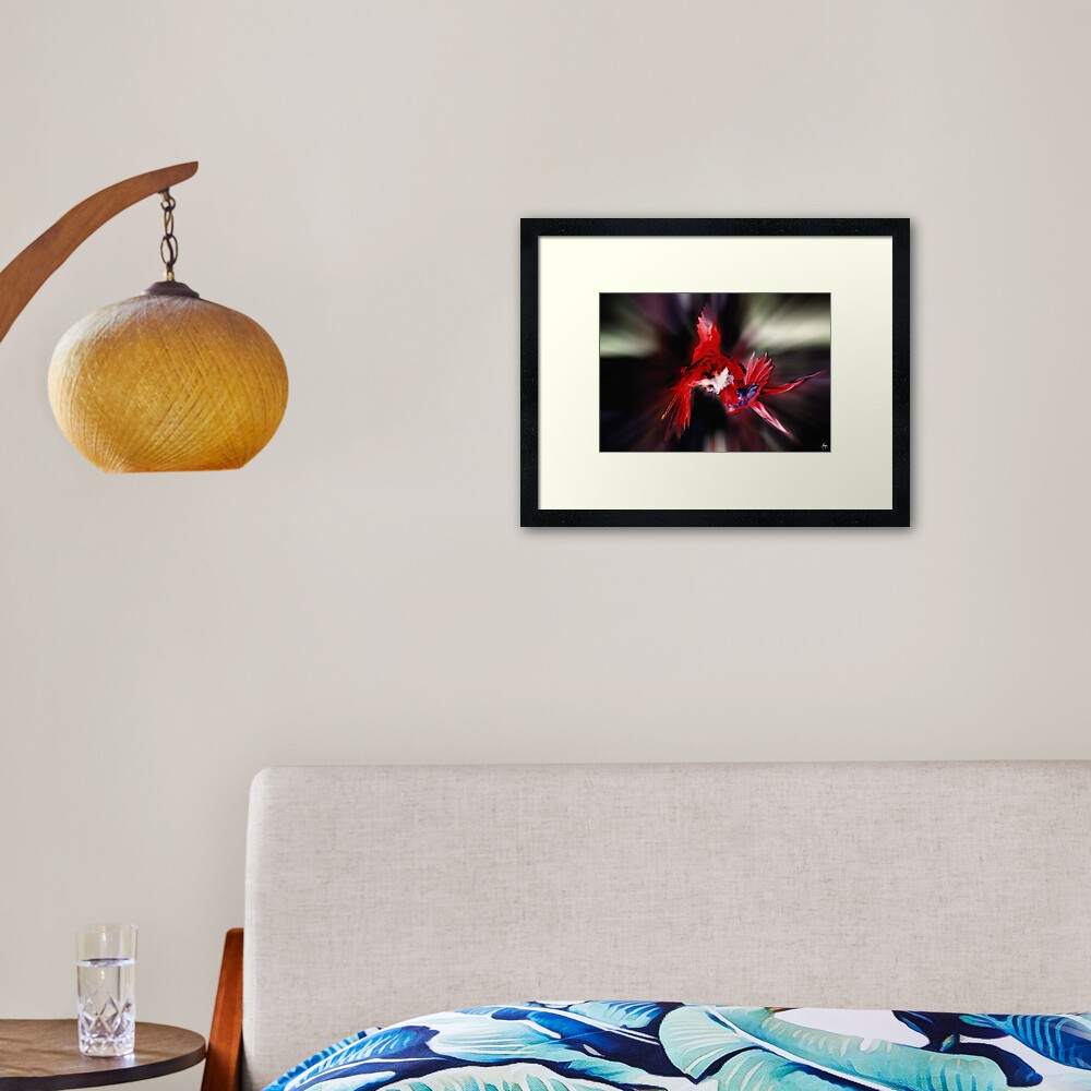 Lories Dance Framed Art Print