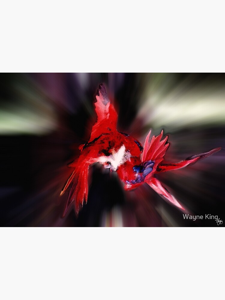 Lories Dance by waynedking