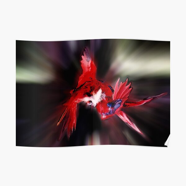 Lories Dance Poster