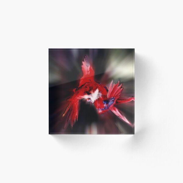 Lories Dance Acrylic Block
