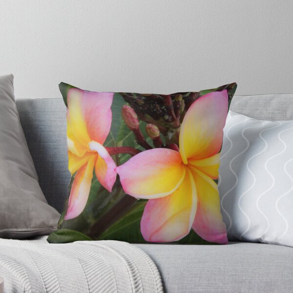 Item preview, Beautiful Tri Colour Frangipani 02 designed and sold by ppddesigns.
