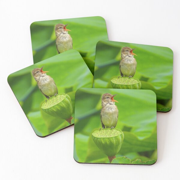 Item preview, Australian Reed Warbler in full song designed and sold by Kathie Thomas.