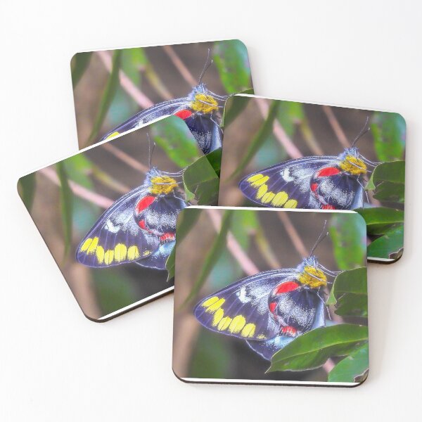 Item preview, Imperial Jezebel Butterfly designed and sold by Kathie Thomas.