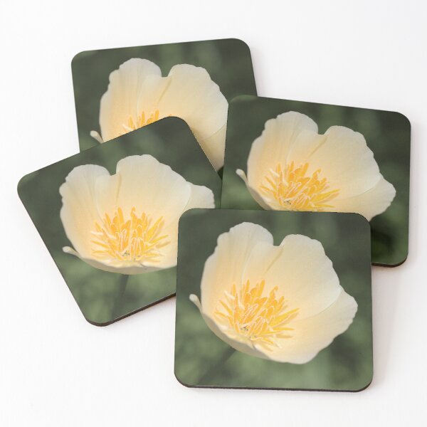 Item preview, Sunburst Blossom designed and sold by Autumn Seas Photography.