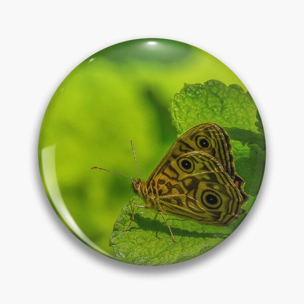 Item preview, Ringed Xenica Butterfly designed and sold by Kathie Thomas.