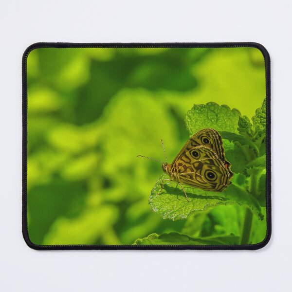 Item preview, Ringed Xenica Butterfly designed and sold by Kathie Thomas.