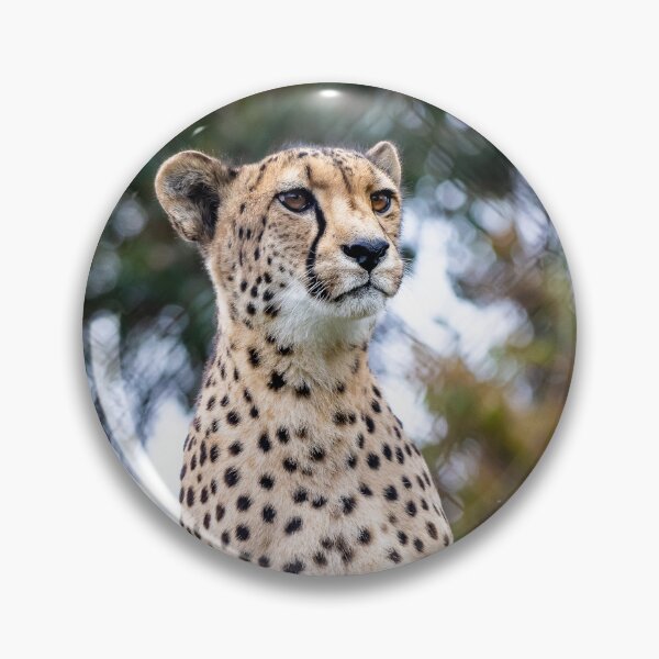 Item preview, Cheetah on display designed and sold by Kathie Thomas.