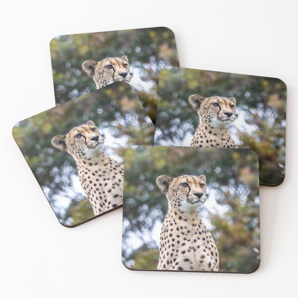 Item preview, Cheetah on display designed and sold by Kathie Thomas.