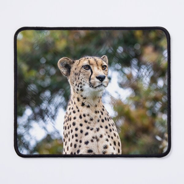 Item preview, Cheetah on display designed and sold by Kathie Thomas.