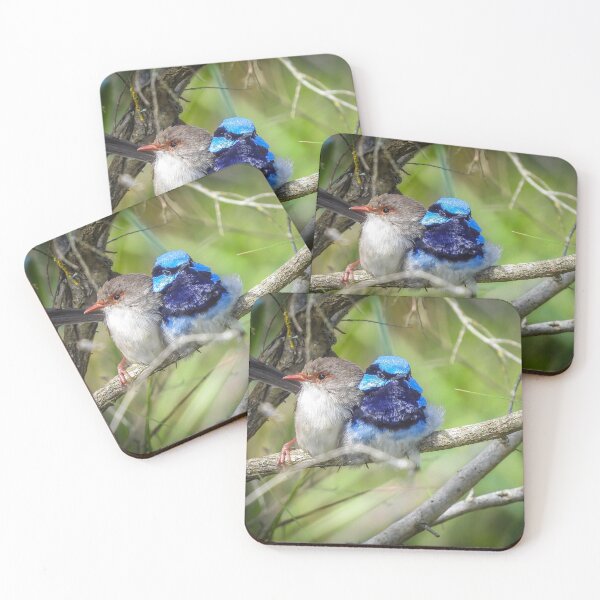 Item preview, Superb Fairywren Pair designed and sold by Kathie Thomas.