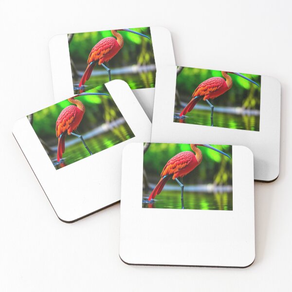 Item preview, Scarlet ibis, Red Ibis designed and sold by nicheteees.