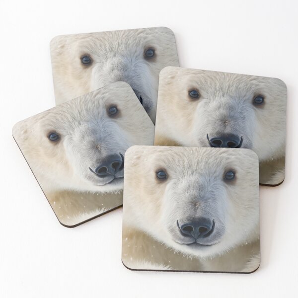 Item preview, Baby Bear designed and sold by juanxochi.