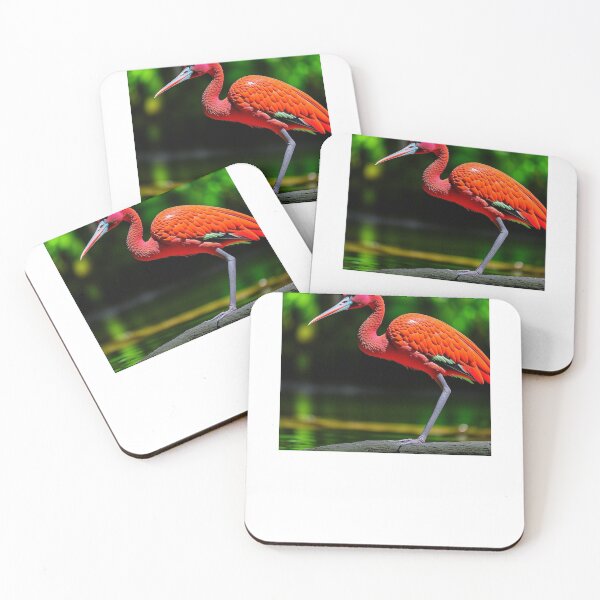 Item preview, Scarlet Ibis, Red Ibis designed and sold by nicheteees.