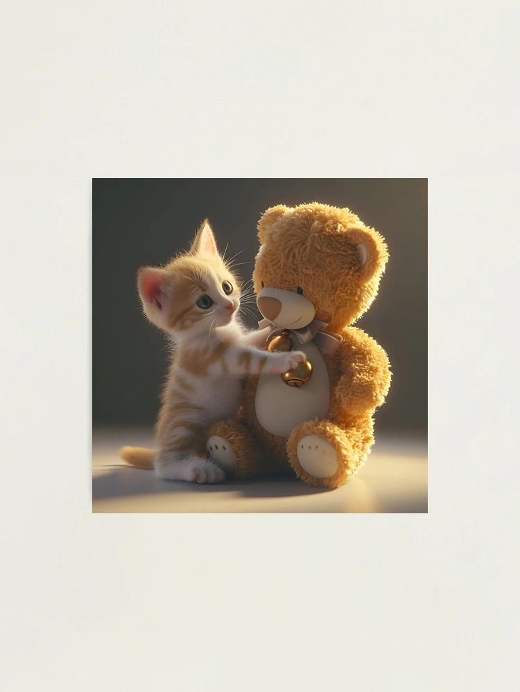 Kitten with teddy bear deals