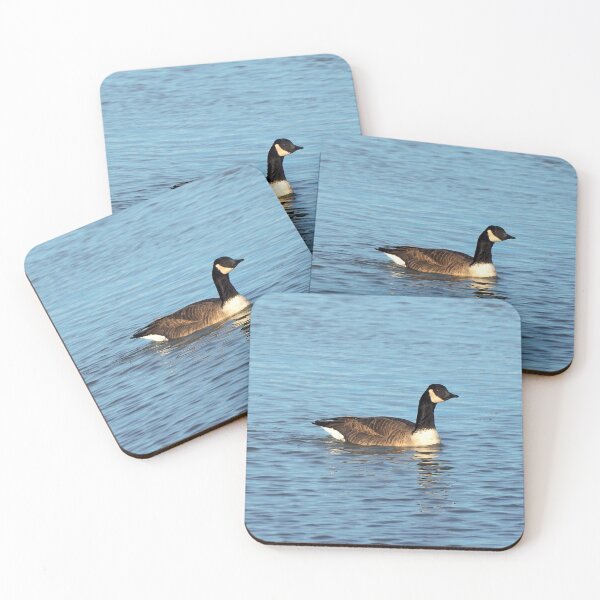 Item preview, Canada Goose Swimming In The Water designed and sold by BackyardBirder.