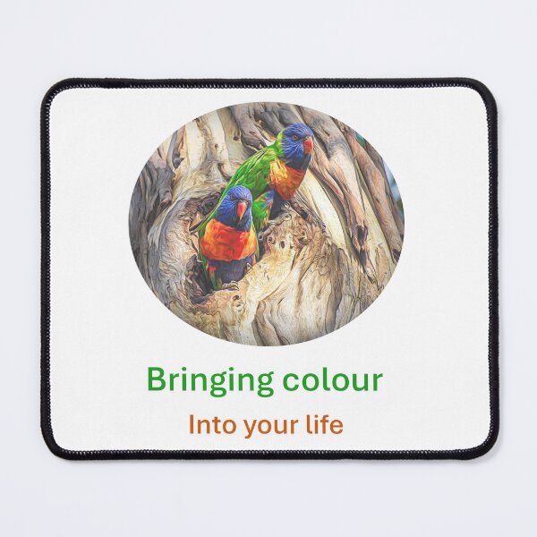 Item preview, Rainbow Lorikeets in colour designed and sold by Kathie Thomas.